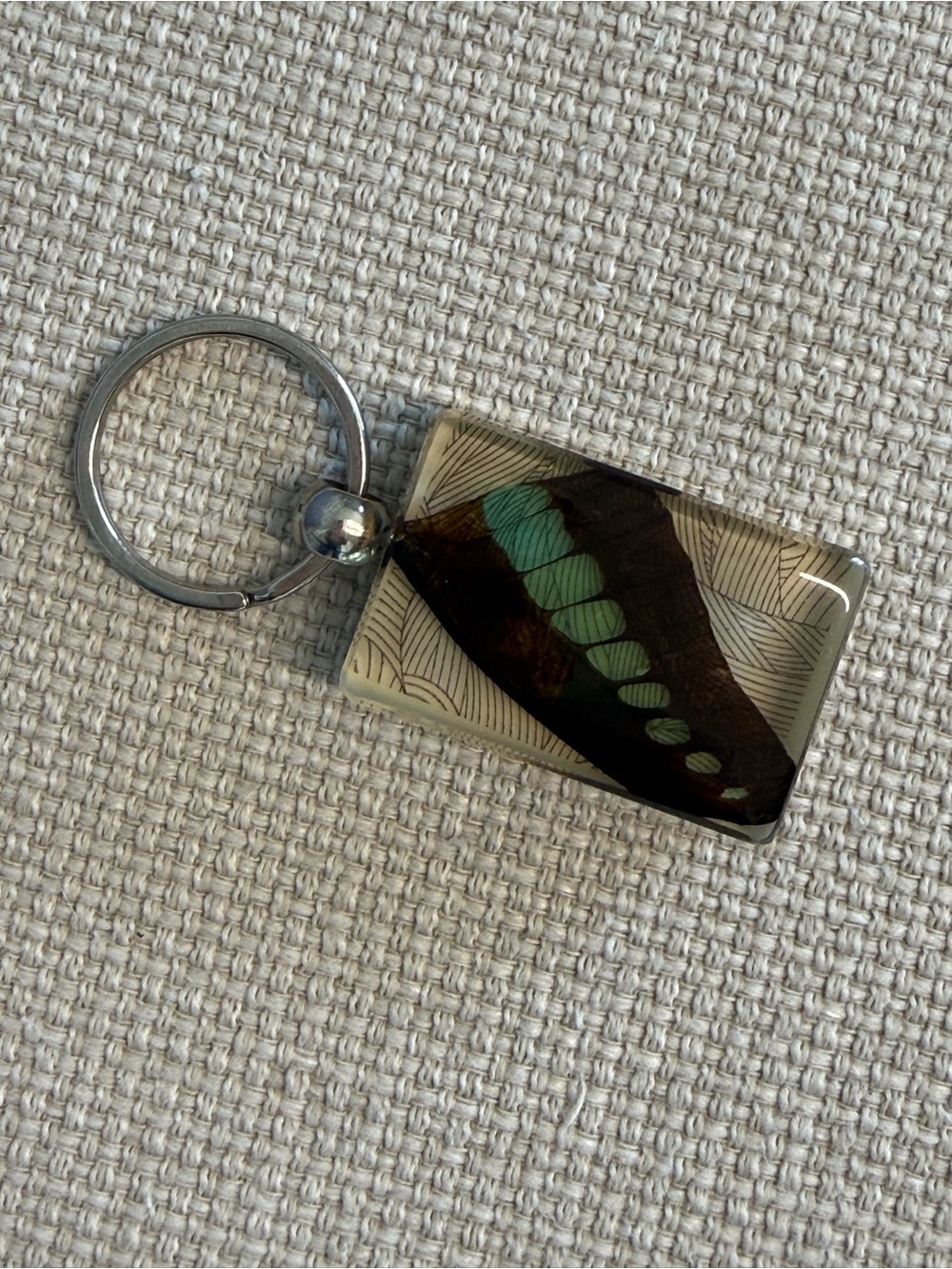 🦋Bluebottle Butterfly wing encased in clear lucite resin.